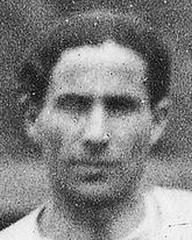 fotografia do artykułu Adler