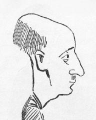 fotografia do artykułu Auerbach