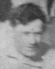 fotografia do artykułu Ciemior