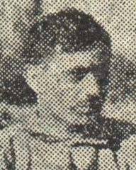 fotografia do artykułu Ciemior