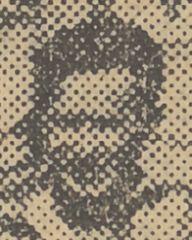 fotografia do artykułu Ciemior