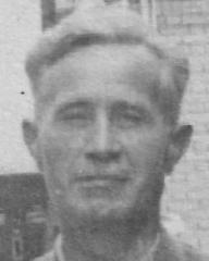 fotografia do artykułu Ciemior