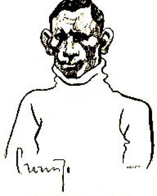 fotografia do artykułu Gacek