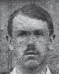 fotografia do artykułu Mielech