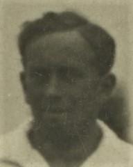 fotografia do artykułu Niedźwirski