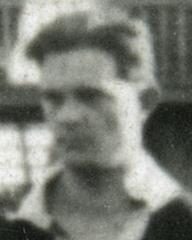 fotografia do artykułu Szwedowski