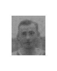 fotografia do artykułu Tokar