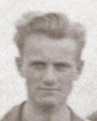 fotografia do artykułu Wieczysty