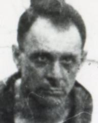 fotografia do artykułu Wójcicki