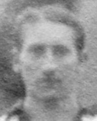 fotografia do artykułu Wolak