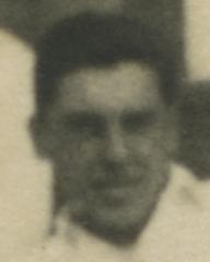 fotografia do artykułu Wronka